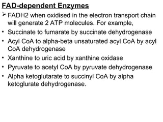 FAD-dependent Enzymes
 FADH2 when oxidised in the electron transport chain
will generate 2 ATP molecules. For example,
• Succinate to fumarate by succinate dehydrogenase
• Acyl CoA to alpha-beta unsaturated acyl CoA by acyl
CoA dehydrogenase
• Xanthine to uric acid by xanthine oxidase
• Pyruvate to acetyl CoA by pyruvate dehydrogenase
• Alpha ketoglutarate to succinyl CoA by alpha
ketoglurate dehydrogenase.
 