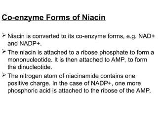 Co-enzyme Forms of Niacin
 Niacin is converted to its co-enzyme forms, e.g. NAD+
and NADP+.
 The niacin is attached to a ribose phosphate to form a
mononucleotide. It is then attached to AMP, to form
the dinucleotide.
 The nitrogen atom of niacinamide contains one
positive charge. In the case of NADP+, one more
phosphoric acid is attached to the ribose of the AMP.
 