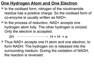 One Hydrogen Atom and One Electron
 In the oxidised form, nitrogen of the nicotinamide
residue has a positive charge. So the oxidised form of
co-enzyme is usually written as NAD+.
 In the process of reduction, NAD+ accepts one
hydrogen atom fully. The other hydrogen is ionized.
Only the electron is accepted.
2H H + H+
+ e-
 Thus NAD+ accepts one H atom and one electron, to
form NADH. The hydrogen ion is released into the
surrounding medium. During the oxidation of NADH,
the reaction is reversed.
 
