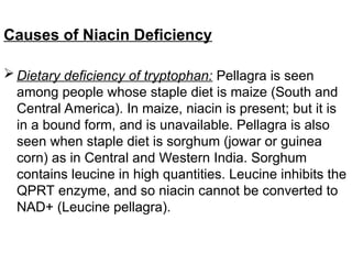 Causes of Niacin Deficiency
 Dietary deficiency of tryptophan: Pellagra is seen
among people whose staple diet is maize (South and
Central America). In maize, niacin is present; but it is
in a bound form, and is unavailable. Pellagra is also
seen when staple diet is sorghum (jowar or guinea
corn) as in Central and Western India. Sorghum
contains leucine in high quantities. Leucine inhibits the
QPRT enzyme, and so niacin cannot be converted to
NAD+ (Leucine pellagra).
 