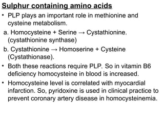Sulphur containing amino acids
• PLP plays an important role in methionine and
cysteine metabolism.
a. Homocysteine + Serine → Cystathionine.
(cystathionine synthase)
b. Cystathionine → Homoserine + Cysteine
(Cystathionase).
• Both these reactions require PLP. So in vitamin B6
deficiency homocysteine in blood is increased.
• Homocysteine level is correlated with myocardial
infarction. So, pyridoxine is used in clinical practice to
prevent coronary artery disease in homocysteinemia.
 