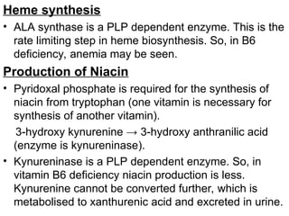 Heme synthesis
• ALA synthase is a PLP dependent enzyme. This is the
rate limiting step in heme biosynthesis. So, in B6
deficiency, anemia may be seen.
Production of Niacin
• Pyridoxal phosphate is required for the synthesis of
niacin from tryptophan (one vitamin is necessary for
synthesis of another vitamin).
3-hydroxy kynurenine → 3-hydroxy anthranilic acid
(enzyme is kynureninase).
• Kynureninase is a PLP dependent enzyme. So, in
vitamin B6 deficiency niacin production is less.
Kynurenine cannot be converted further, which is
metabolised to xanthurenic acid and excreted in urine.
 