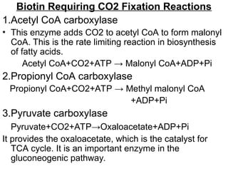 Biotin Requiring CO2 Fixation Reactions
1.Acetyl CoA carboxylase
• This enzyme adds CO2 to acetyl CoA to form malonyl
CoA. This is the rate limiting reaction in biosynthesis
of fatty acids.
Acetyl CoA+CO2+ATP → Malonyl CoA+ADP+Pi
2.Propionyl CoA carboxylase
Propionyl CoA+CO2+ATP → Methyl malonyl CoA
+ADP+Pi
3.Pyruvate carboxylase
Pyruvate+CO2+ATP→Oxaloacetate+ADP+Pi
It provides the oxaloacetate, which is the catalyst for
TCA cycle. It is an important enzyme in the
gluconeogenic pathway.
 