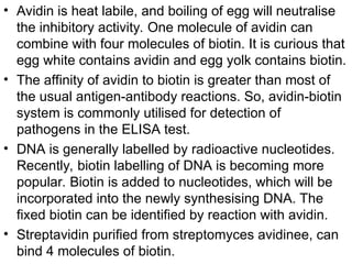 • Avidin is heat labile, and boiling of egg will neutralise
the inhibitory activity. One molecule of avidin can
combine with four molecules of biotin. It is curious that
egg white contains avidin and egg yolk contains biotin.
• The affinity of avidin to biotin is greater than most of
the usual antigen-antibody reactions. So, avidin-biotin
system is commonly utilised for detection of
pathogens in the ELISA test.
• DNA is generally labelled by radioactive nucleotides.
Recently, biotin labelling of DNA is becoming more
popular. Biotin is added to nucleotides, which will be
incorporated into the newly synthesising DNA. The
fixed biotin can be identified by reaction with avidin.
• Streptavidin purified from streptomyces avidinee, can
bind 4 molecules of biotin.
 