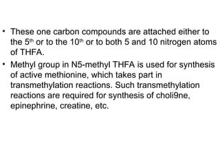 • These one carbon compounds are attached either to
the 5th
or to the 10th
or to both 5 and 10 nitrogen atoms
of THFA.
• Methyl group in N5-methyl THFA is used for synthesis
of active methionine, which takes part in
transmethylation reactions. Such transmethylation
reactions are required for synthesis of choli9ne,
epinephrine, creatine, etc.
 