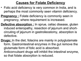 Causes for Folate Deficiency
• Folic acid deficiency is very common in India, and is
perhaps the most commonly seen vitamin deficiency.
Pregnancy : Folate deficiency is commonly seen in
pregnancy, where requirement is increased.
Defective absorption : In sprue, celiac disease, gluten
induced enteropathy, resection of jejunum and short-
circuting of jejunum in gastroileostomy, absorption is
defective.
Drugs: In the diet, folacins are mainly in polyglutamate
form. Gastrointestinal enzymes in the gut remove the
glutamate form of folic acid is absorbed.
Anticonvulsant drugs will inhibit the intestinal enzyme,
so that folate absorption is reduced.
 