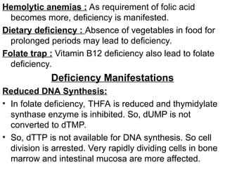Hemolytic anemias : As requirement of folic acid
becomes more, deficiency is manifested.
Dietary deficiency : Absence of vegetables in food for
prolonged periods may lead to deficiency.
Folate trap : Vitamin B12 deficiency also lead to folate
deficiency.
Deficiency Manifestations
Reduced DNA Synthesis:
• In folate deficiency, THFA is reduced and thymidylate
synthase enzyme is inhibited. So, dUMP is not
converted to dTMP.
• So, dTTP is not available for DNA synthesis. So cell
division is arrested. Very rapidly dividing cells in bone
marrow and intestinal mucosa are more affected.
 
