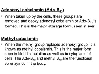 Adenosyl cobalamin (Ado-B12)
• When taken up by the cells, these groups are
removed and deoxy adenosyl cobalamin or Ado-B12 is
formed. This is the major storage form, seen in liver.
Methyl cobalamin
• When the methyl group replaces adenosyl group, it is
known as methyl cobalamin. This is the major form
seen in blood circulation as well as in cytoplasm of
cells. The Ado-B12 and methyl B12 are the functional
co-enzymes in the body.
 