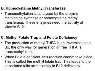 B. Homocysteine Methyl Transferase
• Transmethylation is catalysed by the enzyme
methionine synthase or homocysteine methyl
transferase. These enzymes need the activity of
vitamin B12.
C. Methyl Folate Trap and Folate Deficiency
• The production of methyl THFA is an ireversible step.
So, the only way for generation of free THFA is
transmethylation.
• When B12 is deficient, this reaction cannot take place.
This is called the methyl folate trap. This leads to the
associated folic acid scarcity in B12 deficiency.
 