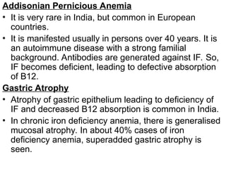 Addisonian Pernicious Anemia
• It is very rare in India, but common in European
countries.
• It is manifested usually in persons over 40 years. It is
an autoimmune disease with a strong familial
background. Antibodies are generated against IF. So,
IF becomes deficient, leading to defective absorption
of B12.
Gastric Atrophy
• Atrophy of gastric epithelium leading to deficiency of
IF and decreased B12 absorption is common in India.
• In chronic iron deficiency anemia, there is generalised
mucosal atrophy. In about 40% cases of iron
deficiency anemia, superadded gastric atrophy is
seen.
 