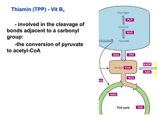 Thiamin (TPP) - Vit B1
- involved in the cleavage of
bonds adjacent to a carbonyl
group:
-the conversion of pyruvate
to acetyl-CoA
 