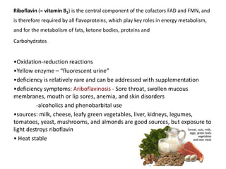 Riboflavin (= vitamin B2) is the central component of the cofactors FAD and FMN, and
is therefore required by all flavoproteins, which play key roles in energy metabolism,
and for the metabolism of fats, ketone bodies, proteins and
Carbohydrates
•Oxidation-reduction reactions
•Yellow enzyme – “fluorescent urine”
•deficiency is relatively rare and can be addressed with supplementation
•deficiency symptoms: Ariboflavinosis - Sore throat, swollen mucous
membranes, mouth or lip sores, anemia, and skin disorders
-alcoholics and phenobarbital use
•sources: milk, cheese, leafy green vegetables, liver, kidneys, legumes,
tomatoes, yeast, mushrooms, and almonds are good sources, but exposure to
light destroys riboflavin
• Heat stable
 
