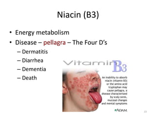 23
Niacin (B3)
• Energy metabolism
• Disease – pellagra – The Four D’s
– Dermatitis
– Diarrhea
– Dementia
– Death
 