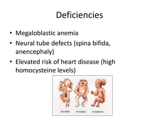 Deficiencies
• Megaloblastic anemia
• Neural tube defects (spina bifida,
anencephaly)
• Elevated risk of heart disease (high
homocysteine levels)
 