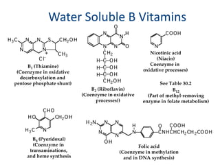 Water Soluble B Vitamins
 