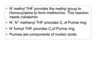 • N
5
methyl THF provides the methyl group to
Homocysteine to form methionine. This reaction
needs cobalamin.
• N
5
, N
10
methenyl THF provides C8 of Purine ring.
• N
5
formyl THF provides C2 of Purine ring.
• Purines are components of nucleic acids.
 
