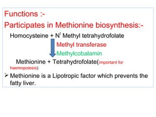 Functions :-
Participates in Methionine biosynthesis:-
Homocysteine + N
5
Methyl tetrahydrofolate
Methyl transferase
Methylcobalamin
Methionine + Tetrahydrofolate(important for
haemopoiesis)
 Methionine is a Lipotropic factor which prevents the
fatty liver.
 