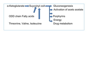 α-Ketoglutarate Suyccinyl coA Gluconeogenesis
Activation of aceto acetate
ODD chain Fatty acids Porphyrins
Energy
Threonine, Valine, Isoleucine Drug metabolism
 