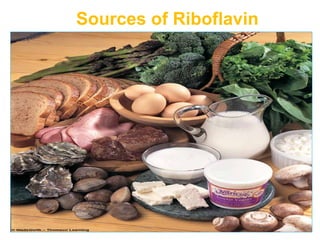 Sources of Riboflavin
 