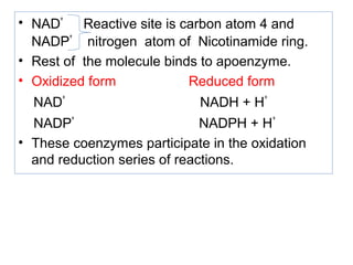 • NAD
+
Reactive site is carbon atom 4 and
NADP
+
nitrogen atom of Nicotinamide ring.
• Rest of the molecule binds to apoenzyme.
• Oxidized form Reduced form
NAD
+
NADH + H
+
NADP
+
NADPH + H
+
• These coenzymes participate in the oxidation
and reduction series of reactions.
 