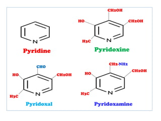Pyridine
CH2OH
CHO
CH2-NH2
CH2OH
CH2OH
HO CH2OH
H3C
H3C
HO HO
H3C
Pyridoxine
Pyridoxal Pyridoxamine
 