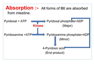 Absorption :- All forms of B6 are absorbed
from intestine.
Pyridoxal + ATP Pyridoxal phosphate+ADP
Kinase (Major)
Pyridoxamine +ATP Pyridoxamine phosphate+ADP
(Minor)
4-Pyridoxic acid
(End product)
 