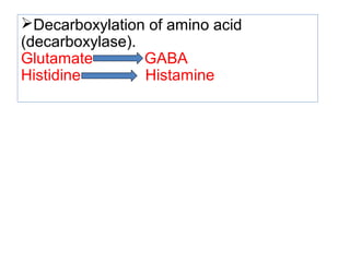 Decarboxylation of amino acid
(decarboxylase).
Glutamate GABA
Histidine Histamine
 