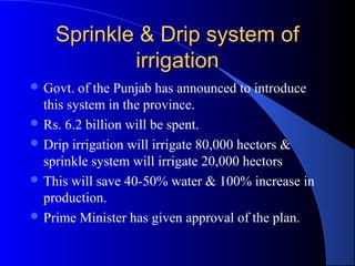 Sprinkle & Drip system of
            irrigation
 Govt.  of the Punjab has announced to introduce
  this system in the province.
 Rs. 6.2 billion will be spent.
 Drip irrigation will irrigate 80,000 hectors &
  sprinkle system will irrigate 20,000 hectors
 This will save 40-50% water & 100% increase in
  production.
 Prime Minister has given approval of the plan.
 