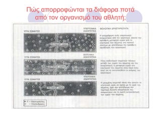 Πώς απορροφώνται τα διάφορα ποτά
  από τον οργανισµό του αθλητή;
 