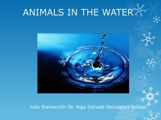 ANIMALS IN THE WATER

.

Julia Stankevich 5b. Riga Ostvald Secondary School

 