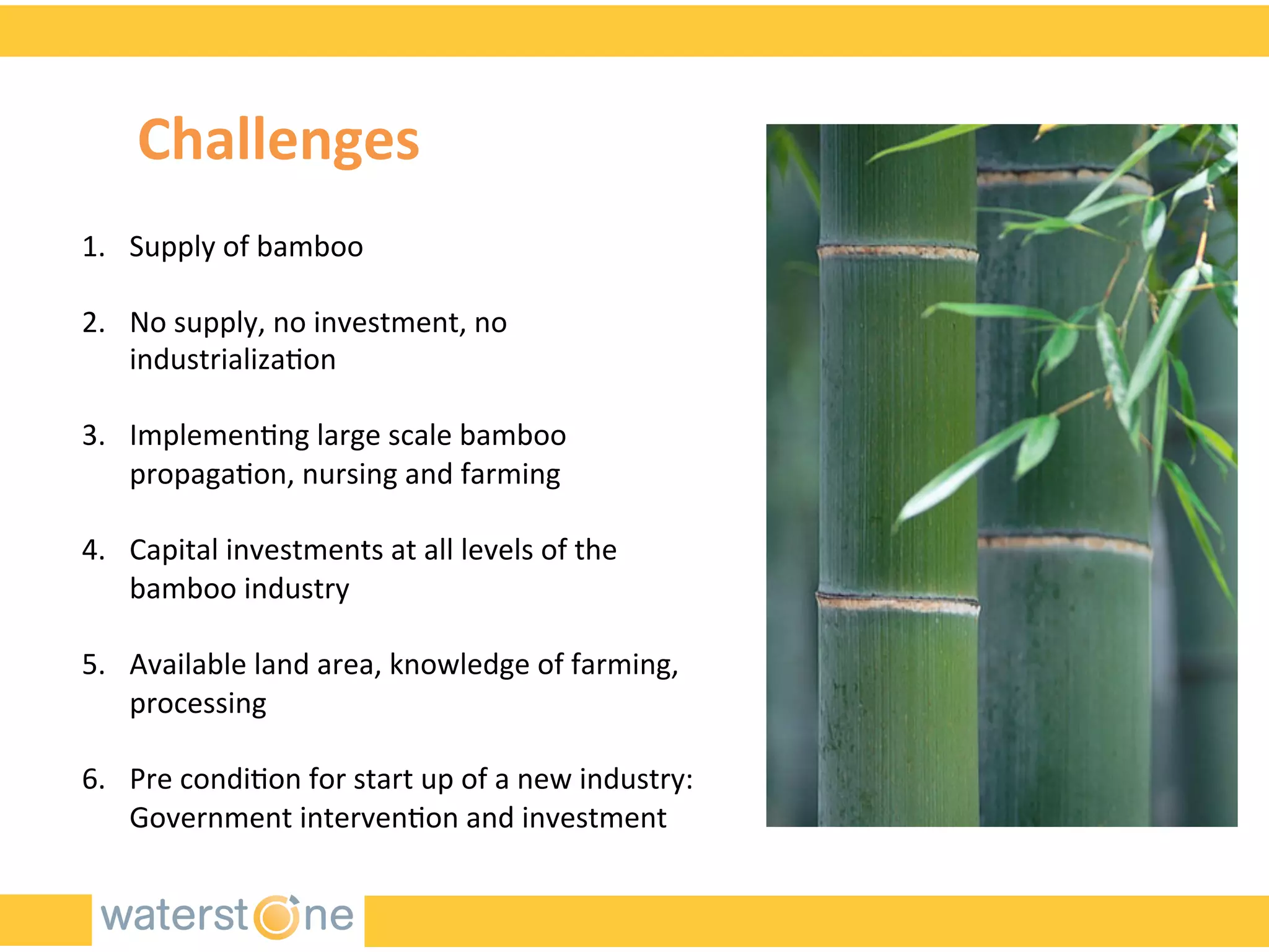 1.  Supply	
  of	
  bamboo	
  
2.  No	
  supply,	
  no	
  investment,	
  no	
  
industrializa-on	
  
	
  
3.  Implemen-ng	
  large	
  scale	
  bamboo	
  
propaga-on,	
  nursing	
  and	
  farming	
  
	
  
4.  Capital	
  investments	
  at	
  all	
  levels	
  of	
  the	
  
bamboo	
  industry	
  
5.  Available	
  land	
  area,	
  knowledge	
  of	
  farming,	
  
processing	
  	
  
6.  Pre	
  condi-on	
  for	
  start	
  up	
  of	
  a	
  new	
  industry:	
  
Government	
  interven-on	
  and	
  investment	
  
	
  
Challenges	
  	
  
 