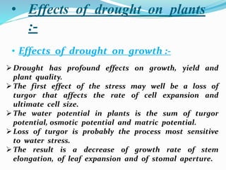 • Effects of drought on plants
:-
• Effects of drought on growth :-
Drought has profound effects on growth, yield and
plant quality.
The first effect of the stress may well be a loss of
turgor that affects the rate of cell expansion and
ultimate cell size.
The water potential in plants is the sum of turgor
potential, osmotic potential and matric potential.
Loss of turgor is probably the process most sensitive
to water stress.
The result is a decrease of growth rate of stem
elongation, of leaf expansion and of stomal aperture.
 