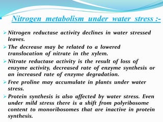 • Nitrogen metabolism under water stress :-
 Nitrogen reductase activity declines in water stressed
leaves.
 The decrease may be related to a lowered
translocation of nitrate in the xylem.
 Nitrate reductase activity is the result of loss of
enzyme activity, decreased rate of enzyme synthesis or
an increased rate of enzyme degradation.
 Free proline may accumulate in plants under water
stress.
 Protein synthesis is also affected by water stress. Even
under mild stress there is a shift from polyribosome
content to monoribosomes that are inactive in protein
synthesis.
 