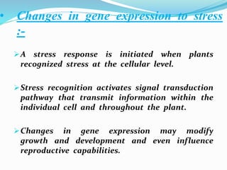 • Changes in gene expression to stress
:-
A stress response is initiated when plants
recognized stress at the cellular level.
Stress recognition activates signal transduction
pathway that transmit information within the
individual cell and throughout the plant.
Changes in gene expression may modify
growth and development and even influence
reproductive capabilities.
 