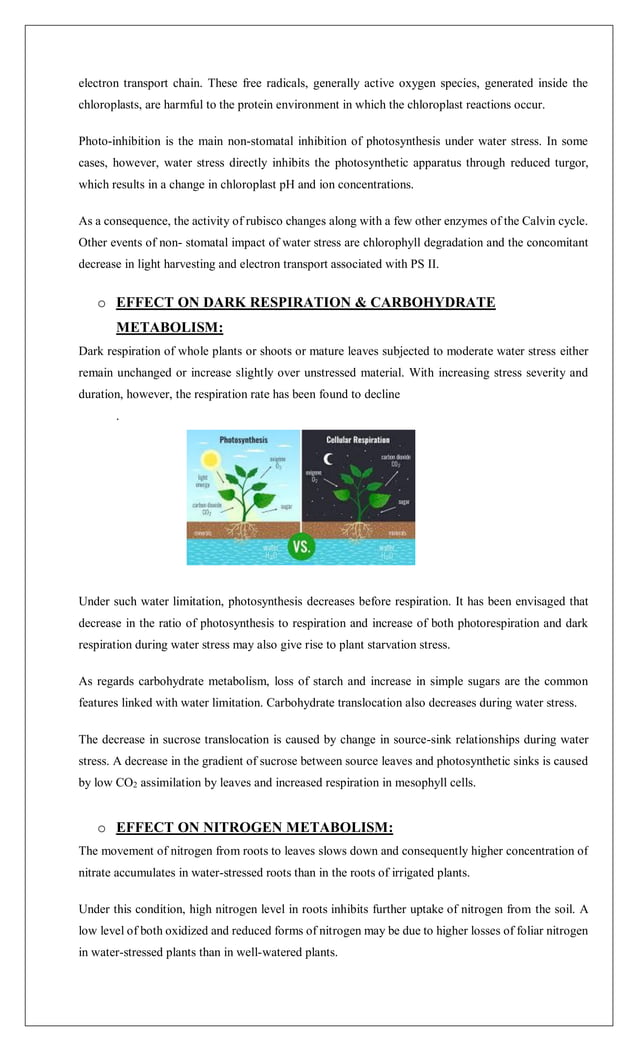 Water stress & physiological consequences in plant growth.pdf