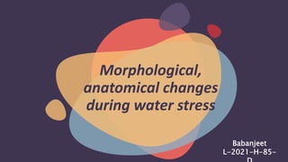 Morphological,
anatomical changes
during water stress
Babanjeet
L-2021-H-85-
 