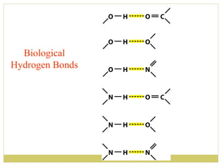 Biological
Hydrogen Bonds

 