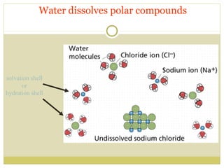 Water dissolves polar compounds

solvation shell
or
hydration shell

 