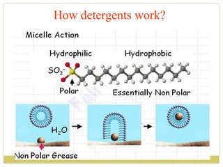 How detergents work?

 