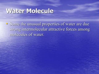 Water Molecule 
• Some the unusual properties of water are due 
strong intermolecular attractive forces among 
molecules of water. 
 
