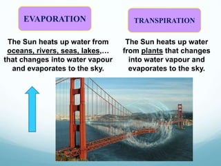 EVAPORATION
The Sun heats up water from
oceans, rivers, seas, lakes,…
that changes into water vapour
and evaporates to the sky.
TRANSPIRATION
The Sun heats up water
from plants that changes
into water vapour and
evaporates to the sky.
 