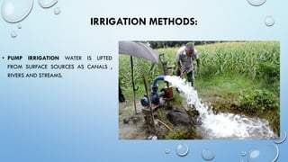 WATER SUPPLY and WATER MANAGEMENt, irrigation, basin, rainfed | PDF