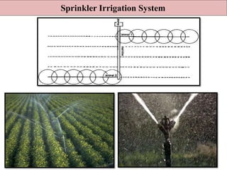 Sprinkler Irrigation System
 