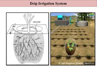 Drip Irrigation System
 