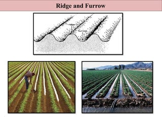 Ridge and Furrow
 