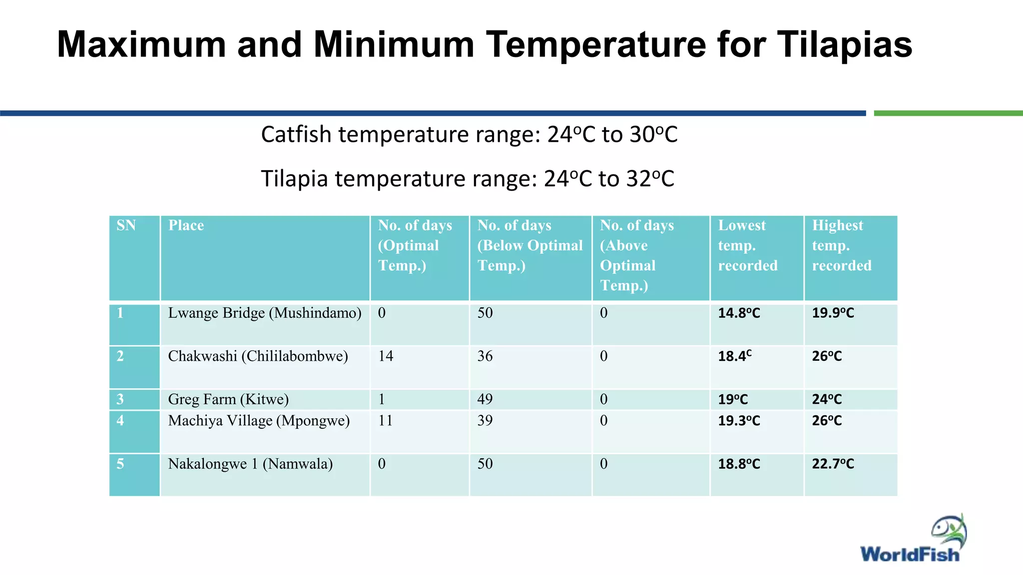 Maximum and Minimum Temperature for Tilapias
SN Place No. of days
(Optimal
Temp.)
No. of days
(Below Optimal
Temp.)
No. of days
(Above
Optimal
Temp.)
Lowest
temp.
recorded
Highest
temp.
recorded
1 Lwange Bridge (Mushindamo) 0 50 0 14.8oC 19.9oC
2 Chakwashi (Chililabombwe) 14 36 0 18.4C 26oC
3 Greg Farm (Kitwe) 1 49 0 19oC 24oC
4 Machiya Village (Mpongwe) 11 39 0 19.3oC 26oC
5 Nakalongwe 1 (Namwala) 0 50 0 18.8oC 22.7oC
Catfish temperature range: 24oC to 30oC
Tilapia temperature range: 24oC to 32oC
 