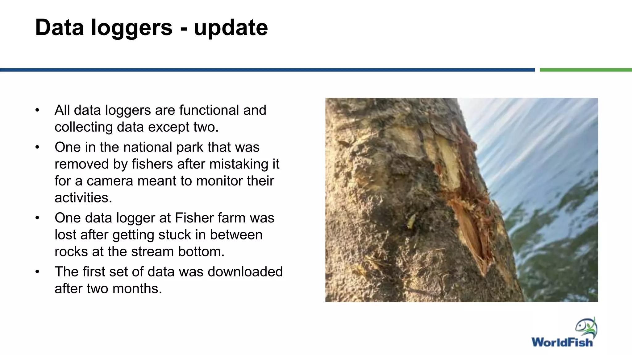 Data loggers - update
• All data loggers are functional and
collecting data except two.
• One in the national park that was
removed by fishers after mistaking it
for a camera meant to monitor their
activities.
• One data logger at Fisher farm was
lost after getting stuck in between
rocks at the stream bottom.
• The first set of data was downloaded
after two months.
 