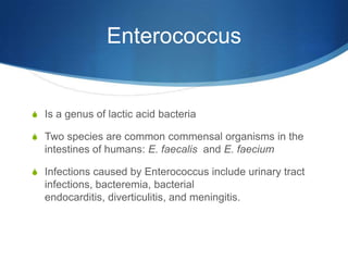 Water testing presentationuhj final | PPTX