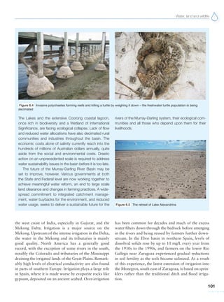 Water, land and wildlife
101
the west coast of India, especially in Gujarat, and the
Mekong Delta. Irrigation is a major source on the
Mekong. Upstream of the intense irrigation in the Delta,
the water in the Mekong and its tributaries is mainly
good quality. North America has a generally good
record, with the exception of some rivers in the south,
notably the Colorado and tributaries of the Mississippi
draining the irrigated lands of the Great Plains. Remark-
ably high levels of electrical conductivity are also found
in parts of southern Europe. Irrigation plays a large role
in Spain, where it is made worse by evaporite rocks like
gypsum, deposited on an ancient seabed. Over-irrigation
has been common for decades and much of the excess
water filters down through the bedrock before emerging
in the rivers and being reused by farmers further down-
stream. In the Ebro basin in northern Spain, levels of
dissolved solids rose by up to 10 mg/L every year from
the 1950s to the 1990s, and farmers on the lower Rio
Gallego near Zaragoza experienced gradual reductions
in soil fertility as the soils became salinized. As a result
of this experience, the latest extension of irrigation into
the Monegros, south east of Zaragoza, is based on sprin-
klers rather than the traditional ditch and flood irriga-
tion.
The Lakes and the extensive Coorong coastal lagoon,
once rich in biodiversity and a Wetland of International
Significance, are facing ecological collapse. Lack of flow
and reduced water allocations have also decimated rural
communities and industries throughout the basin. The
economic costs alone of salinity currently reach into the
hundreds of millions of Australian dollars annually, quite
aside from the social and environmental costs. Drastic
action on an unprecedented scale is required to address
water sustainability issues in the basin before it is too late.
The future of the Murray-Darling River Basin may be
set to improve, however. Various governments at both
the State and Federal level are now working together to
achieve meaningful water reform, an end to large scale
land clearance and changes in farming practices. A wide-
spread commitment to integrated catchment manage-
ment, water buybacks for the environment, and reduced
water usage, seeks to deliver a sustainable future for the
rivers of the Murray-Darling system, their ecological com-
munities and all those who depend upon them for their
livelihoods.
Figure 6.5 The retreat of Lake Alexandrina
Figure 6.4 Invasive polychaetes forming reefs and killing a turtle by weighing it down – the freshwater turtle population is being
decimated
 