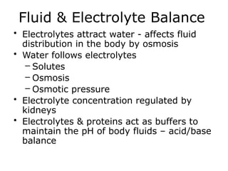 Comprehensive Overview of Water, Electrolytes, and Body Fluid Balance ...
